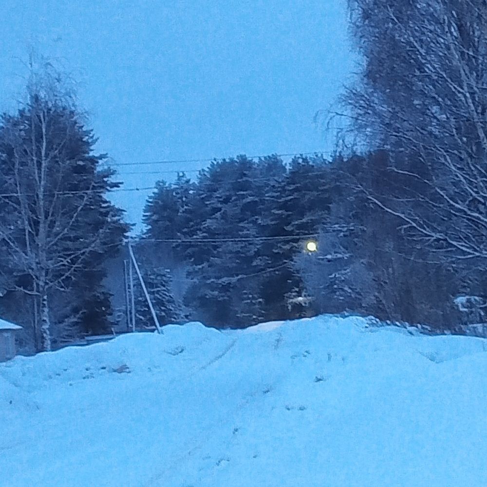 Photograph by Арина Сурсякова