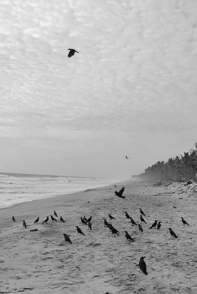 Фотография автора Riju Indira