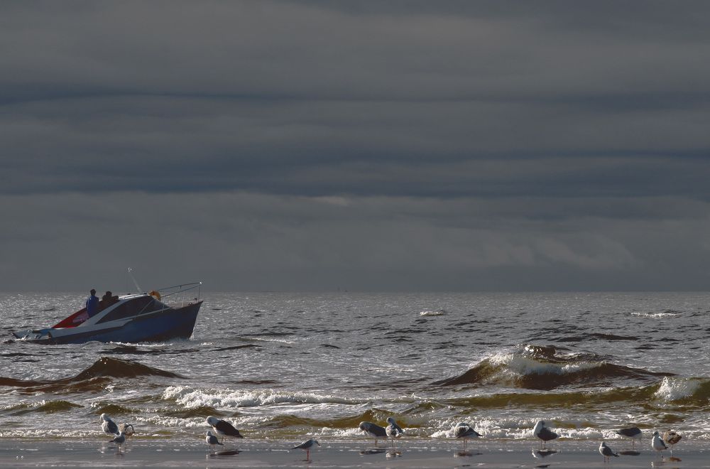 Бегущий по волнам