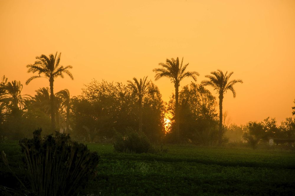 Photograph by Mahmoud Gomaa