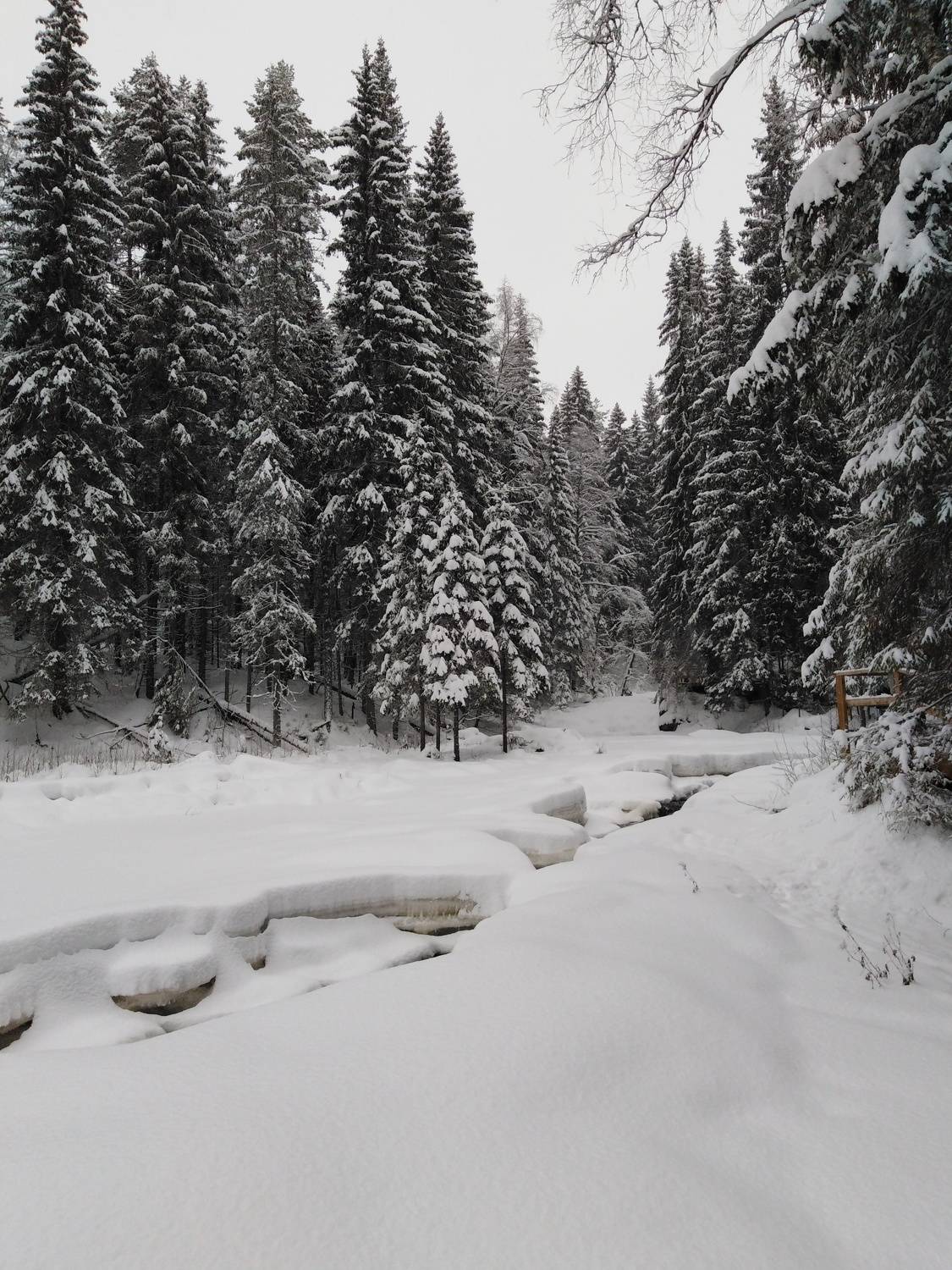 Photo #7353282