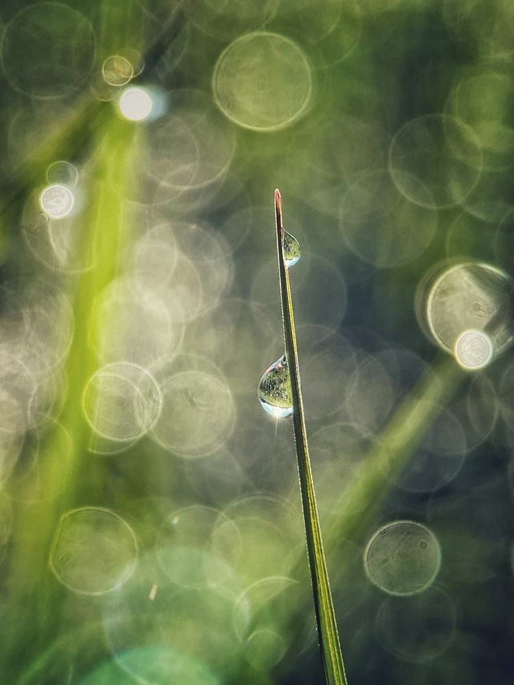 Photograph by Ольга Мурзина