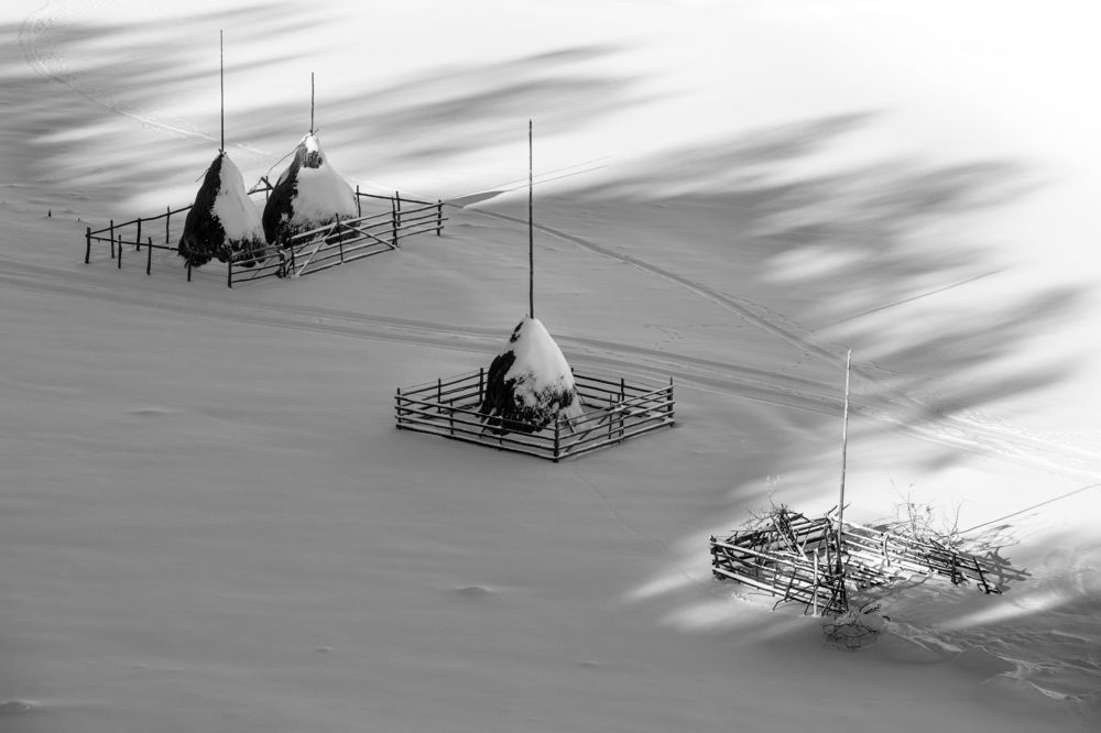 Фотография автора Marius Turc