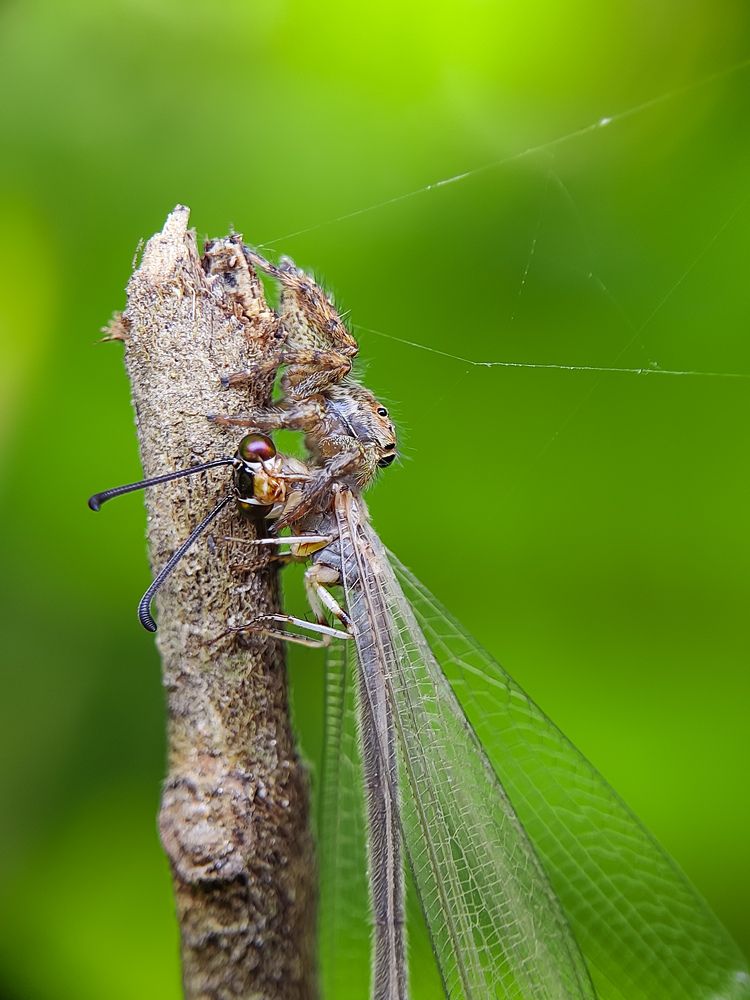 Photograph by Surojit Ghosh