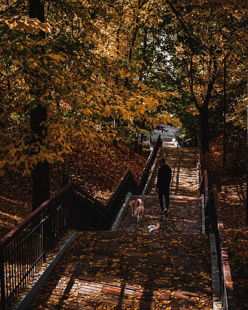 Photograph by Камилла