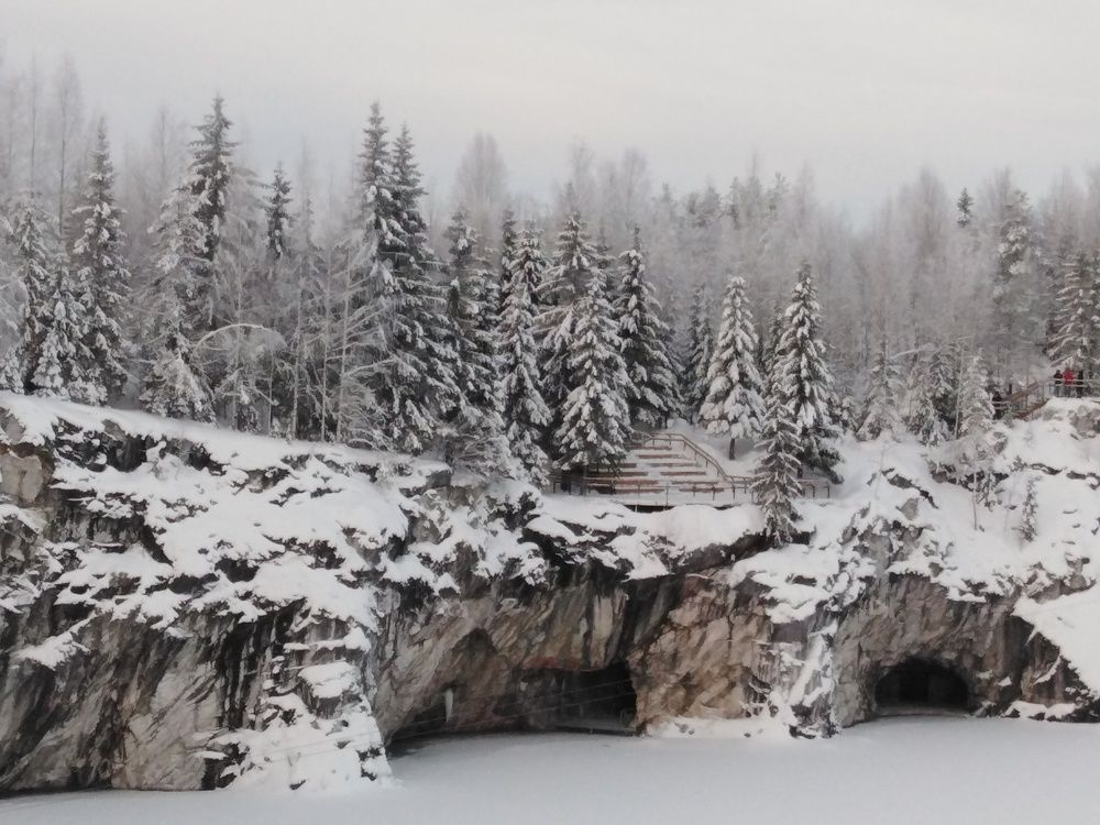 Photo #7353450