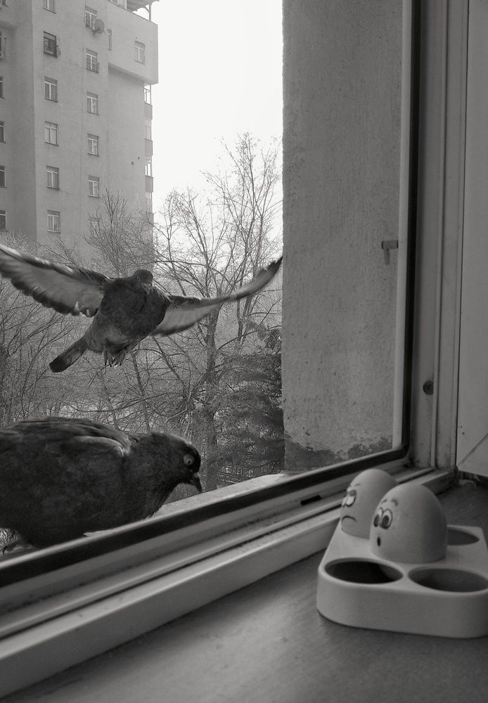 Photograph by Орынбек Асилбаев