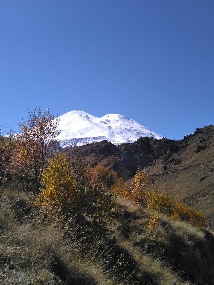 Photograph by SAFRON