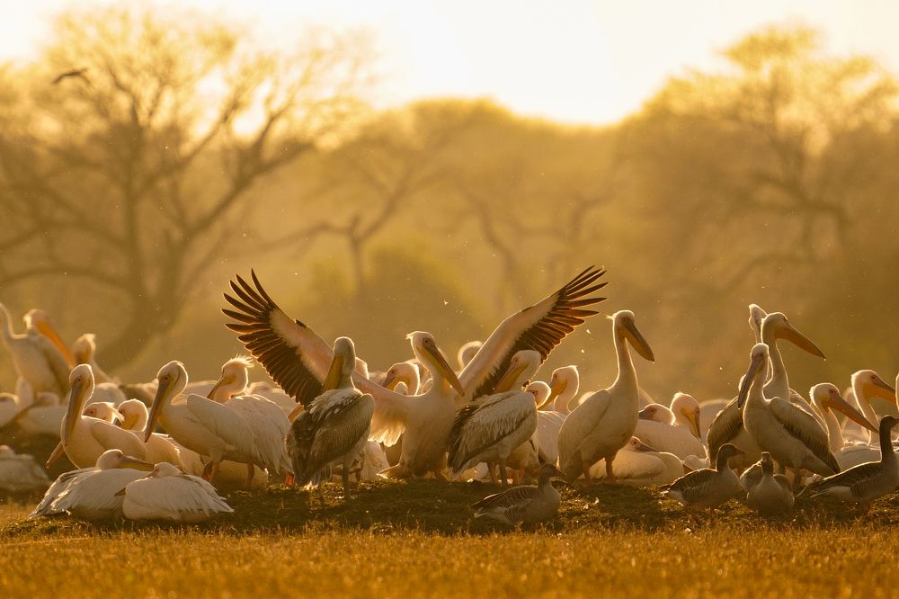 Photograph by Jayavignesh Hariharan