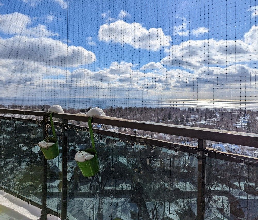 Photograph by Shaila Mahbub