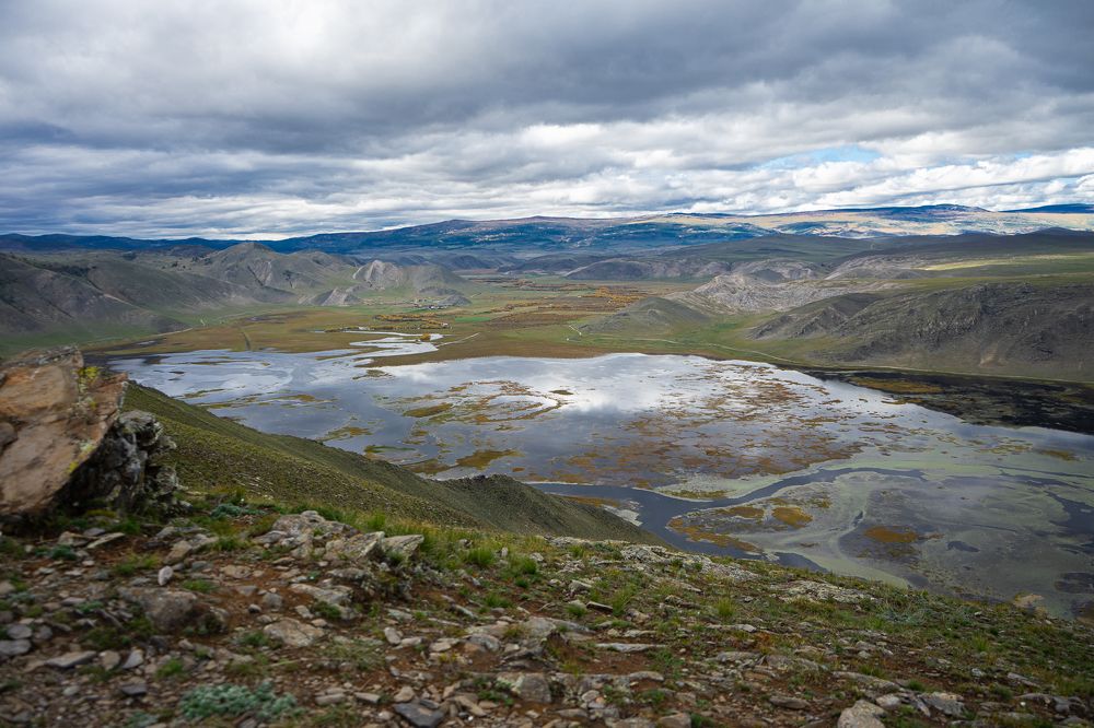 Photograph by Инна Завадская