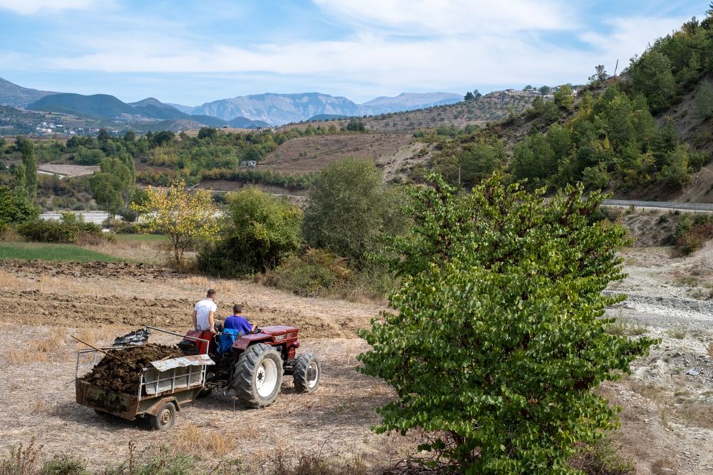 Photograph by Marc Nollet