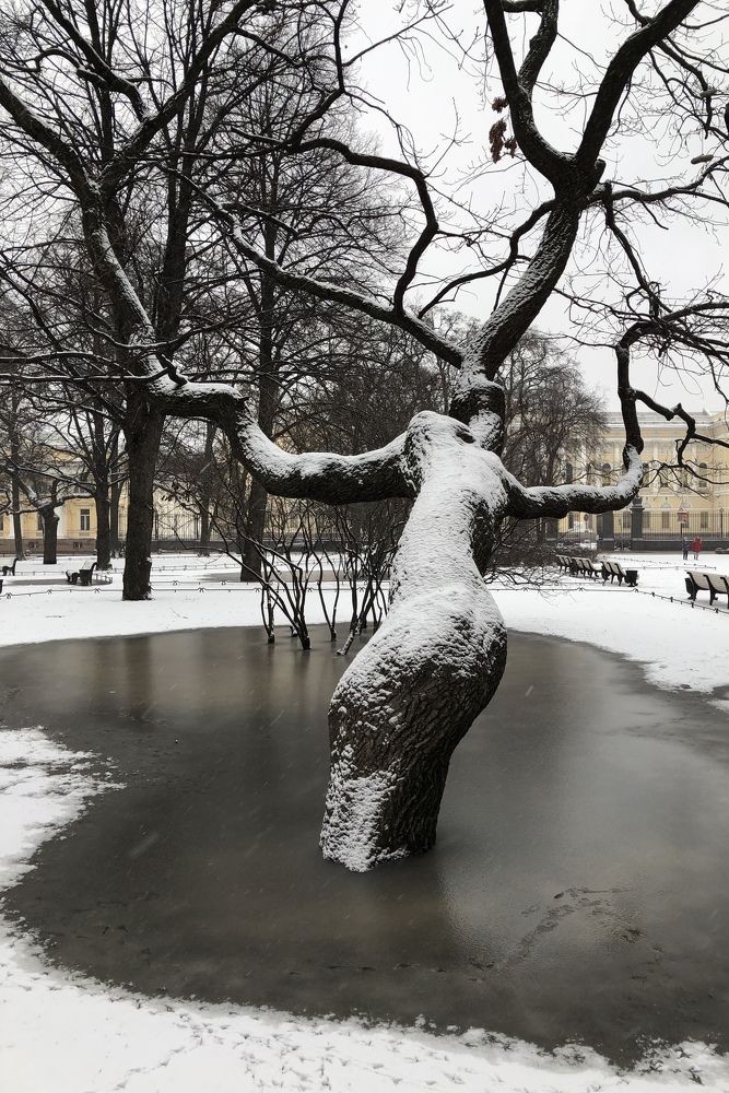 Photograph by Мария Бессмертная