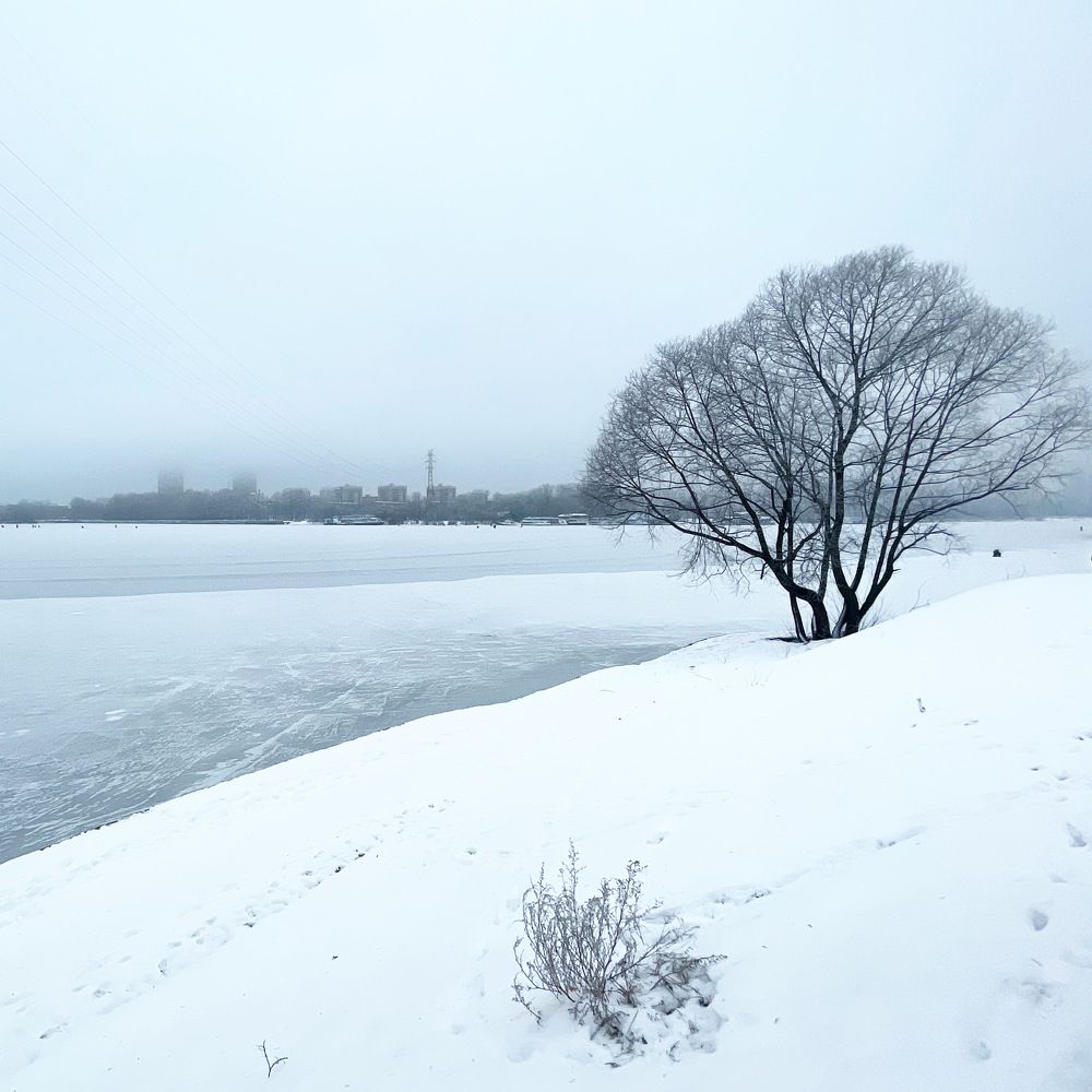 Photograph by Андрей Друцкой