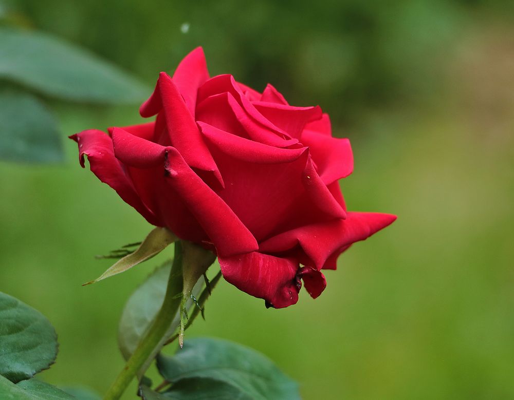 Photograph by Светлана Васильева