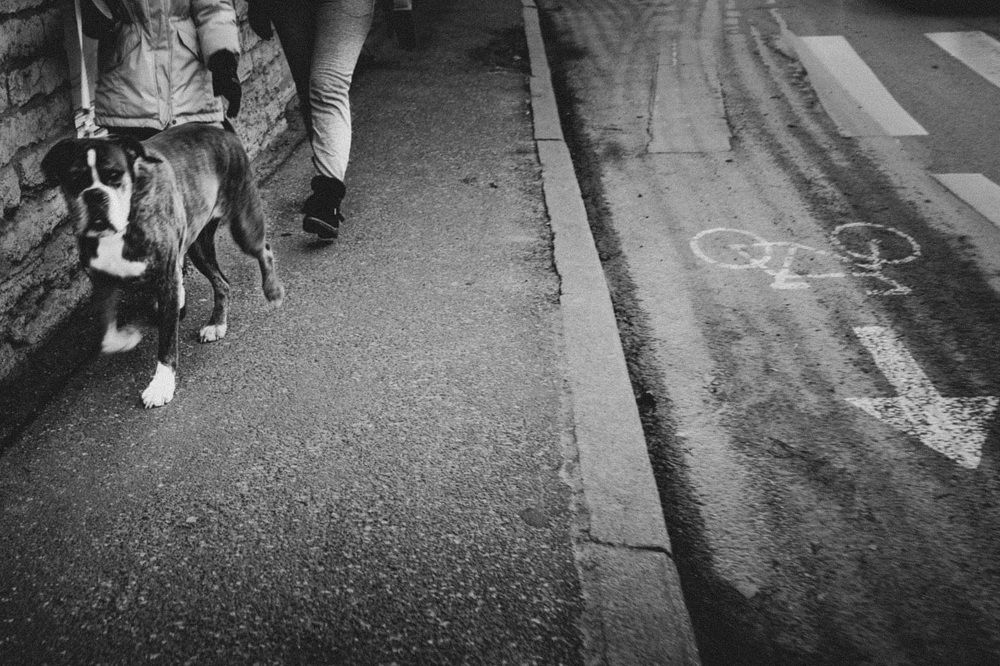 Photograph by Анна