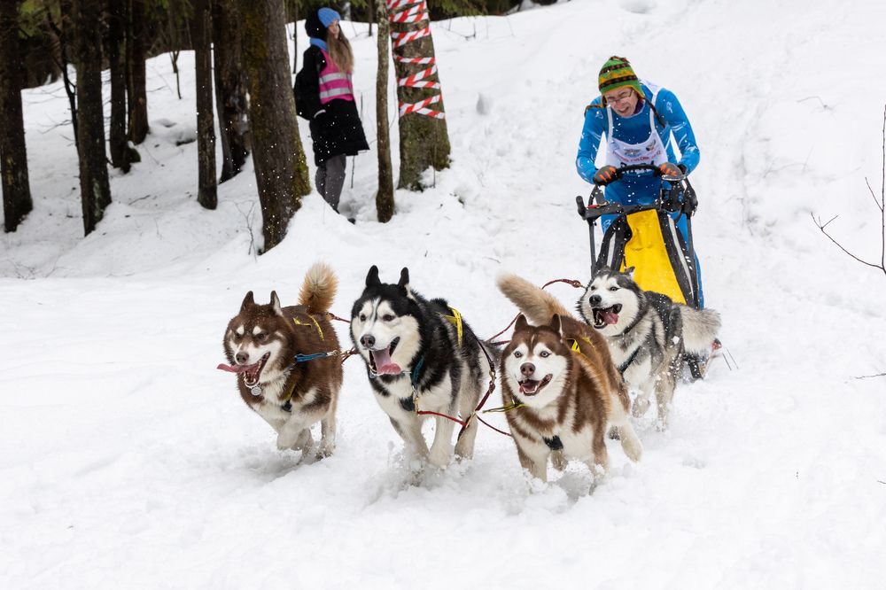 Photograph by Илья Юфа