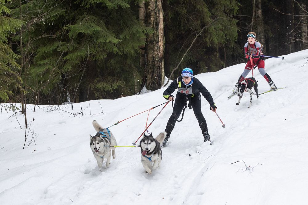 Photograph by Илья Юфа