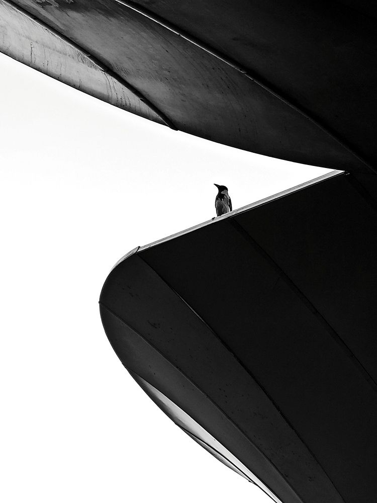 Photograph by Mehdi Esfahanizadeh