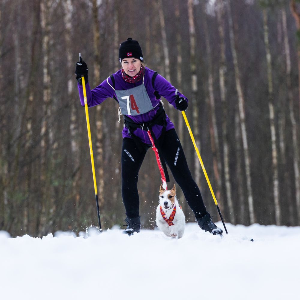 Photograph by Илья Юфа