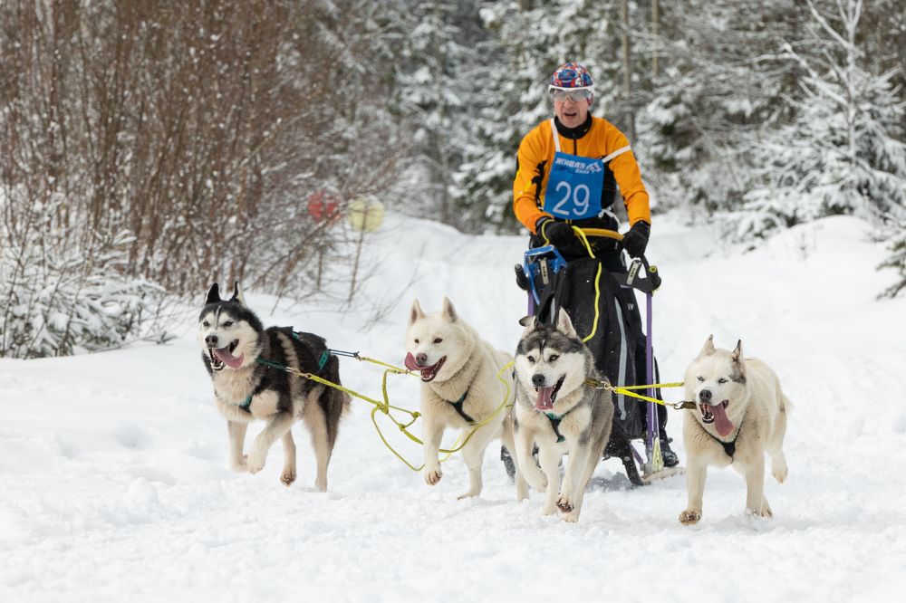 Photograph by Илья Юфа