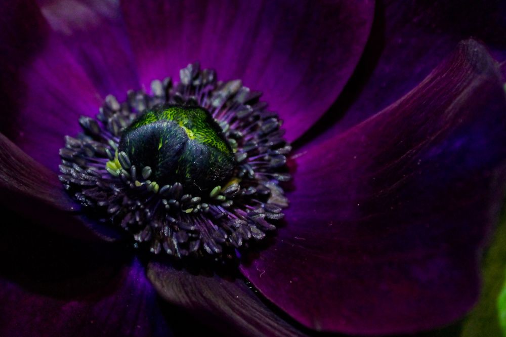 Photograph by Сторогина Марина