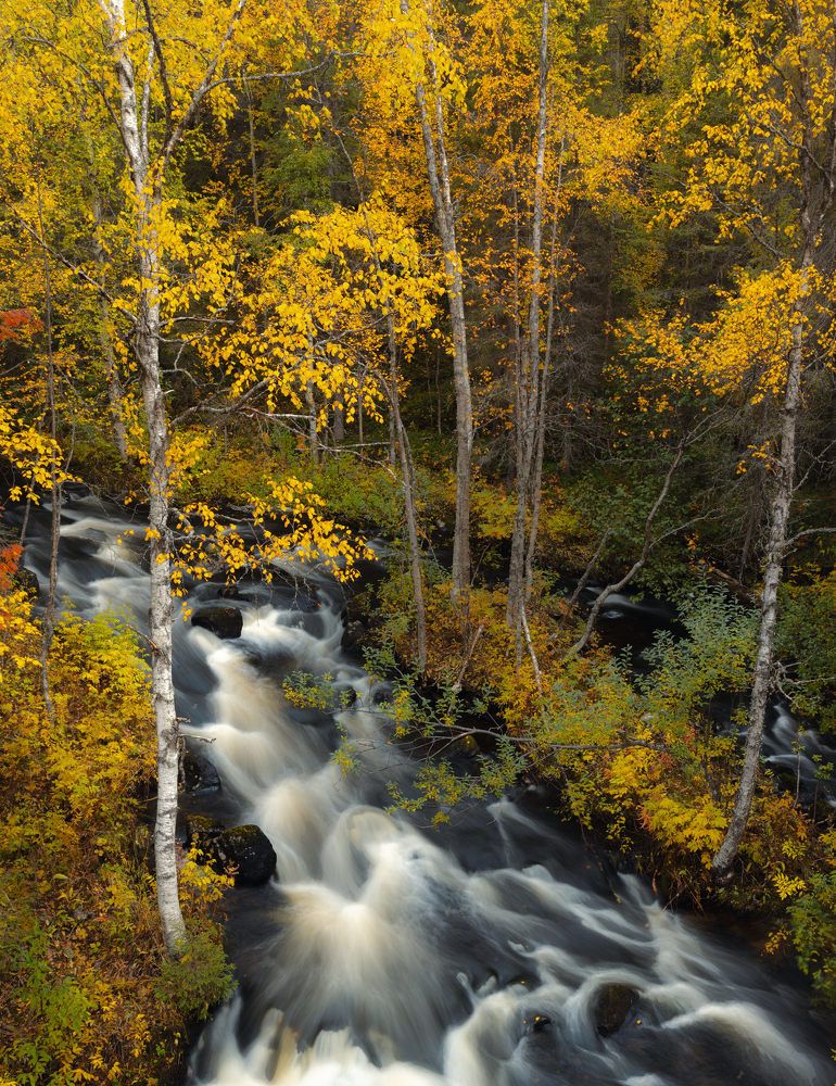 Photograph by Алексей Ретюнских