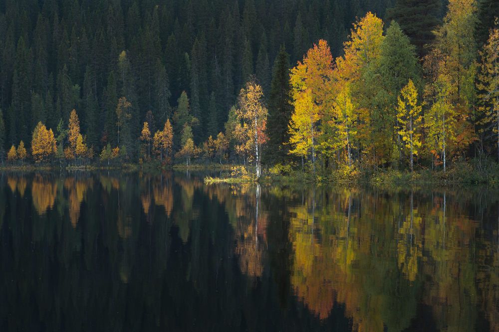 Photograph by Алексей Ретюнских