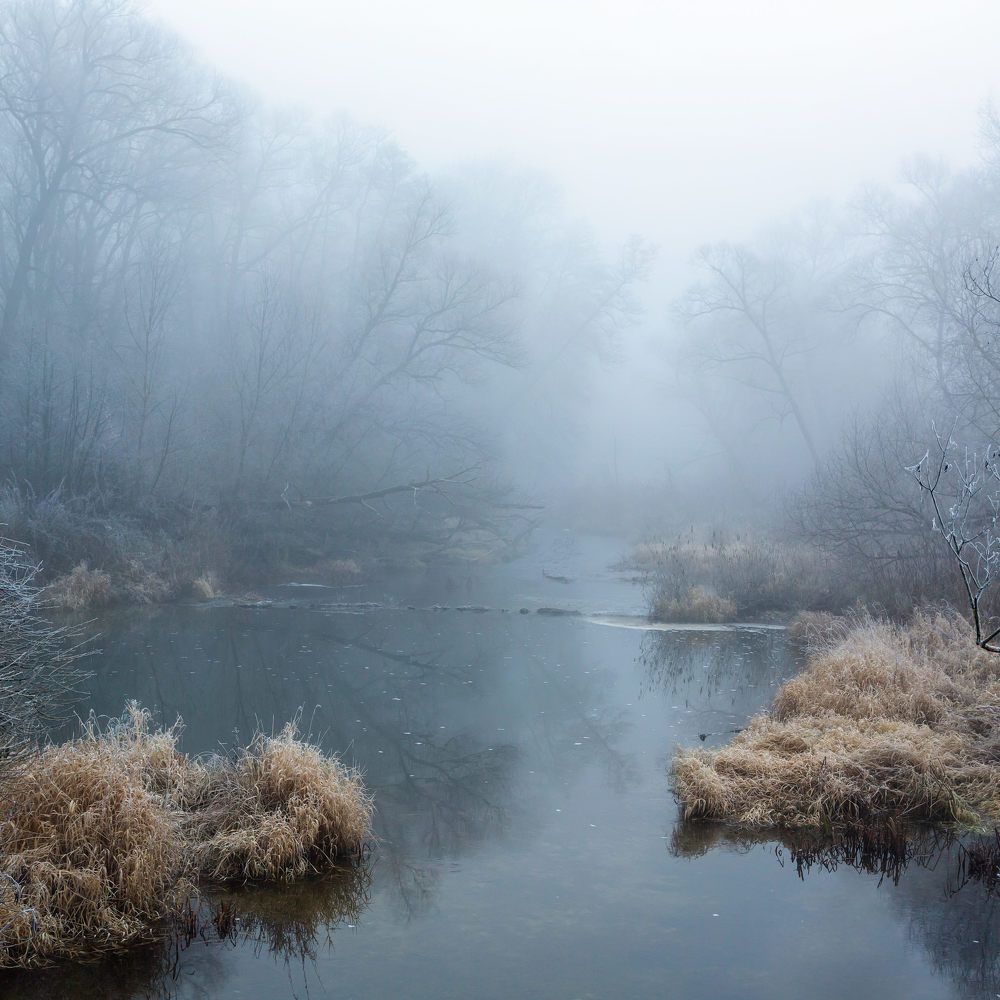 Photograph by Алексей Ретюнских
