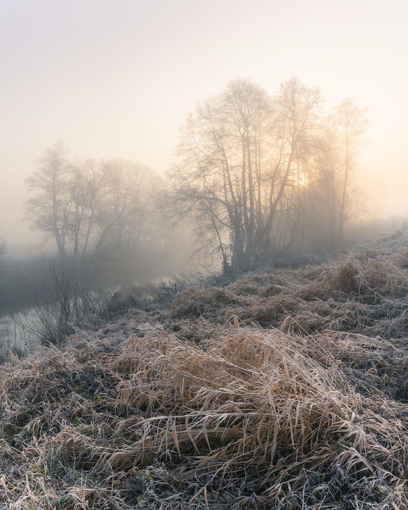 Photograph by Алексей Ретюнских