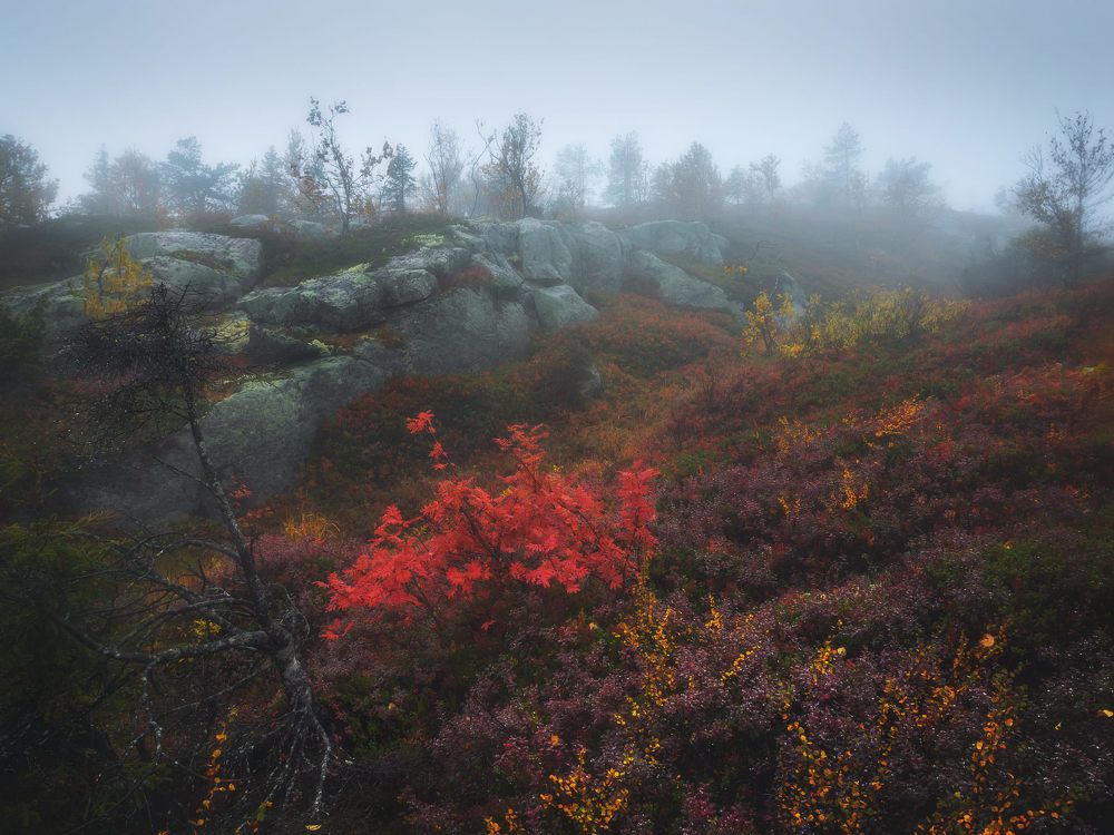 Photograph by Алексей Ретюнских