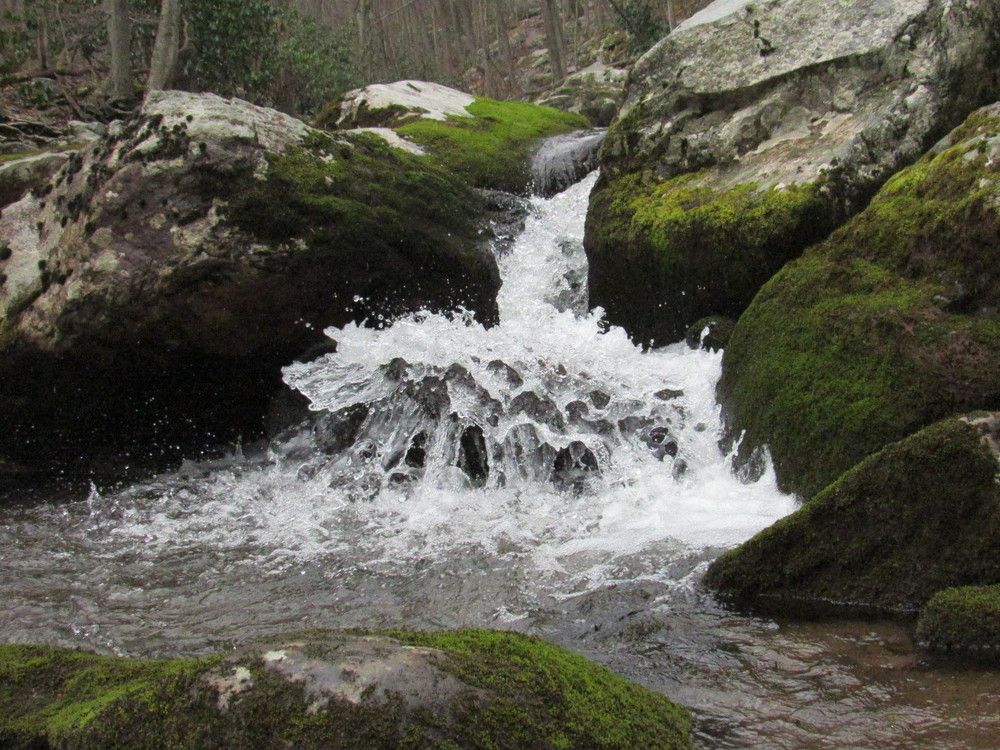 Photograph by Lyndsye