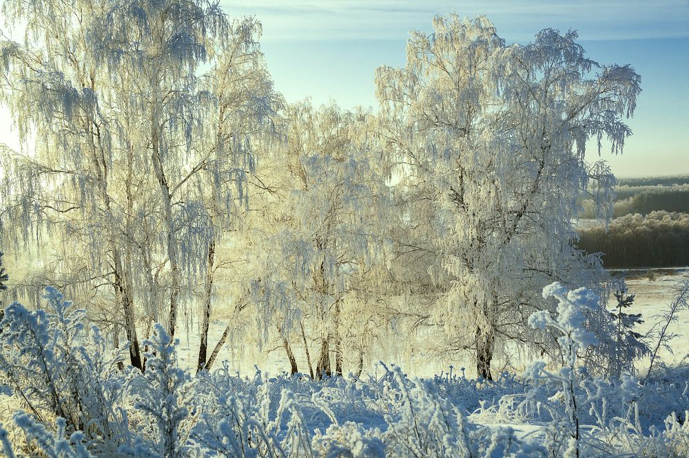 Фотография автора Рамиль Фаттахов