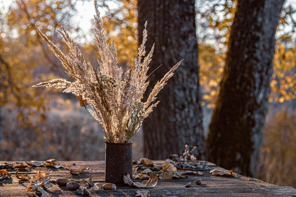 Photograph by Татьяна Панчешная