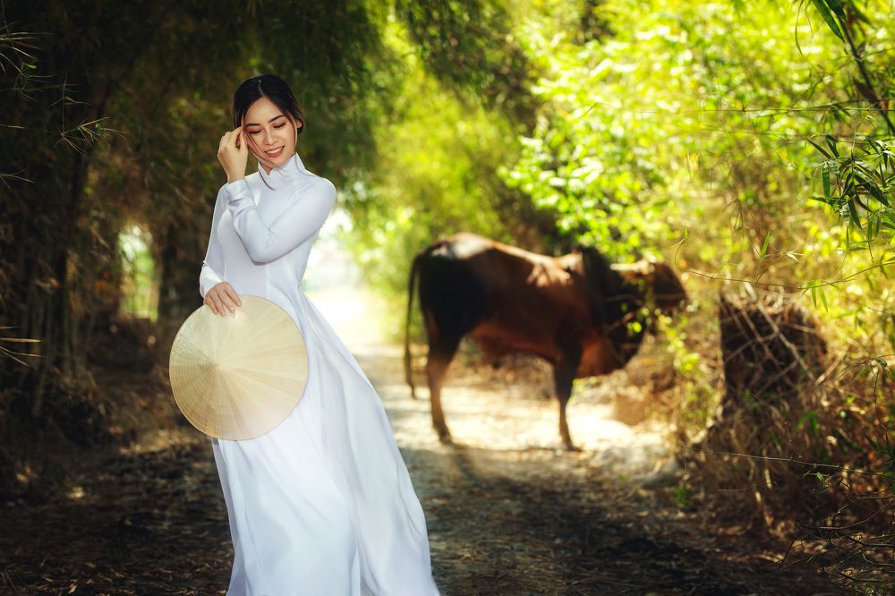 Photograph by phong nguyen