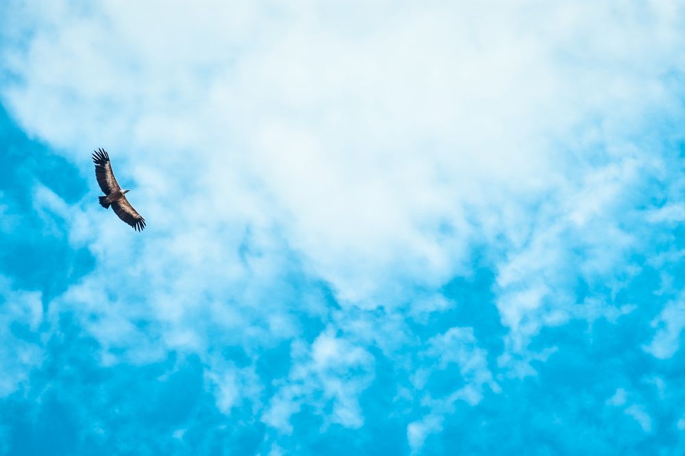 Photograph by Tariel Sarkarov