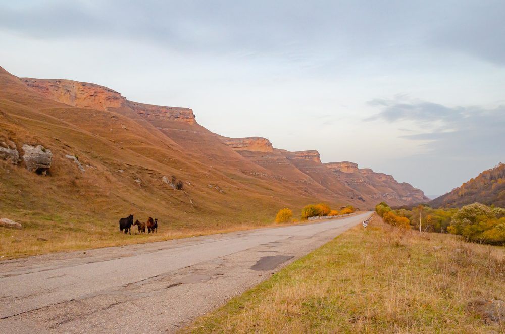 Перевал Гумбаши