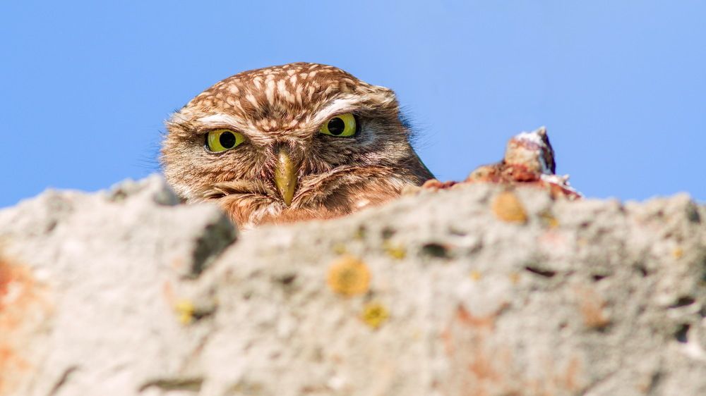 Photograph by Александр