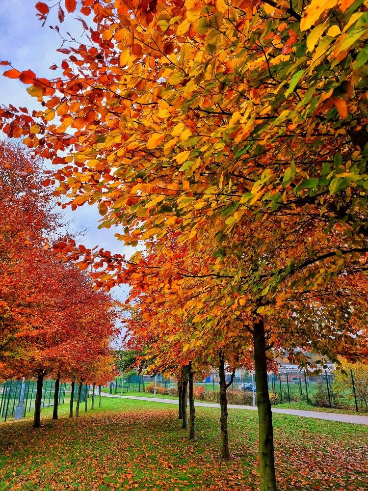 Photograph by Reihan Trandafir