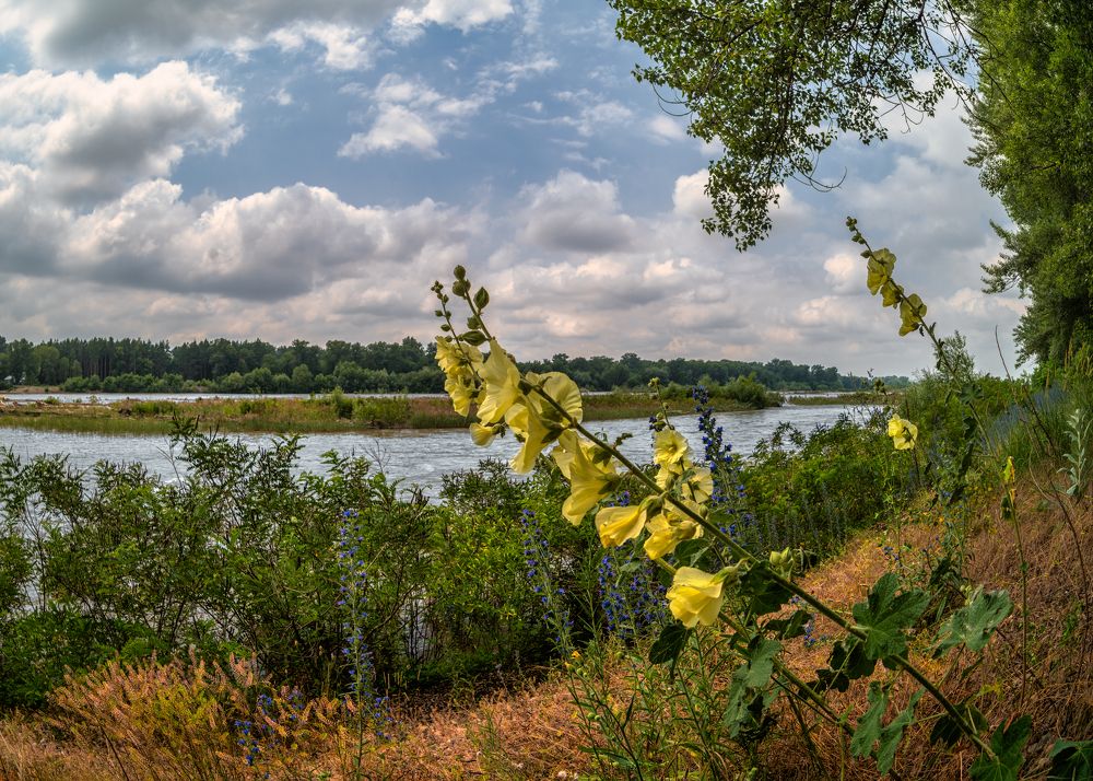 Photograph by Владимир Кваша