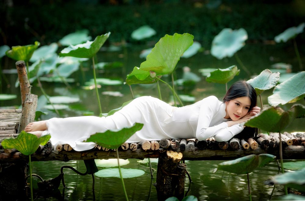 Photograph by phong nguyen