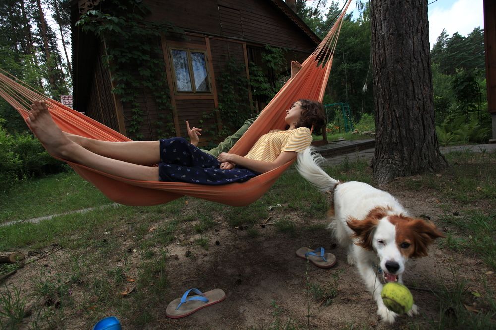 Дачная жизнь