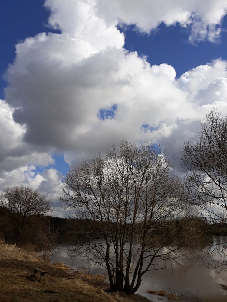 Photograph by Татьяна Тихонова