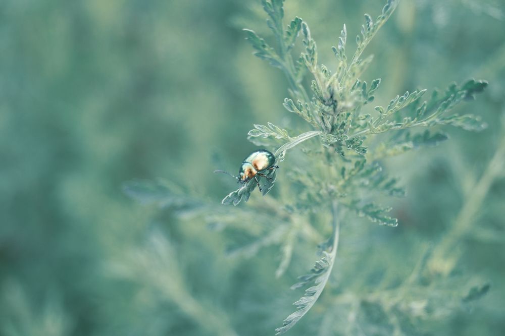 Photograph by Наталья Шпак