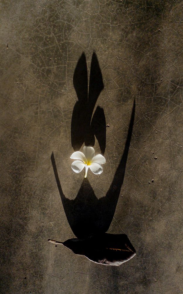 Фотография автора Sasindu Pramuditha