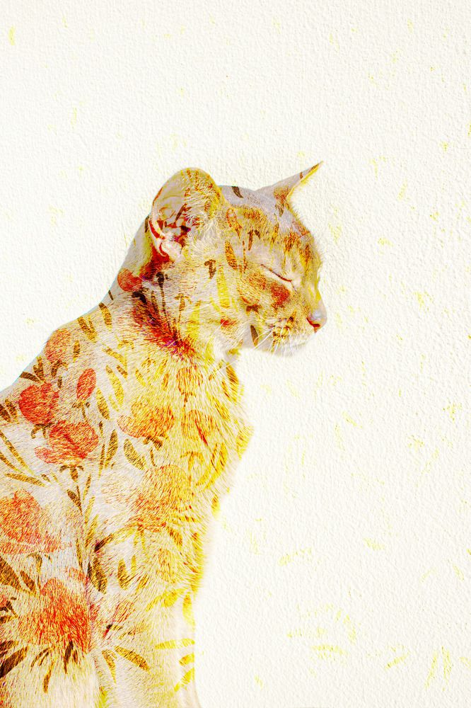 Photograph by Varvara Korniushenko