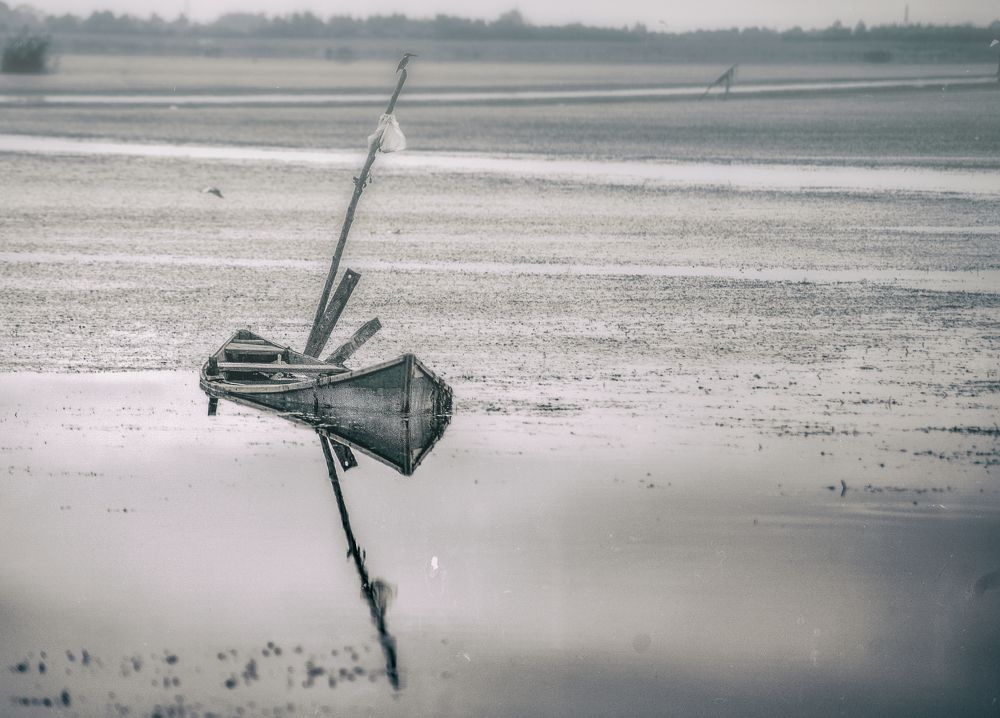 Photograph by DAMOUN POURNEMATI