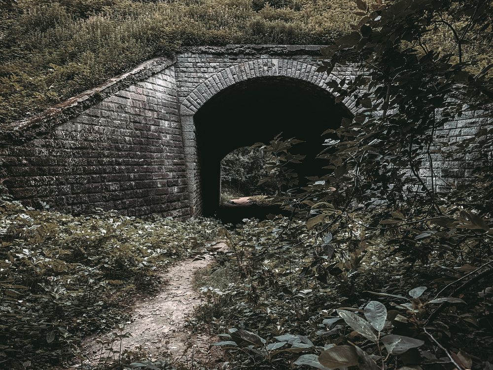 Photograph by Алексей Макаров