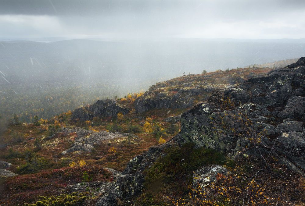 Photograph by Алексей Ретюнских