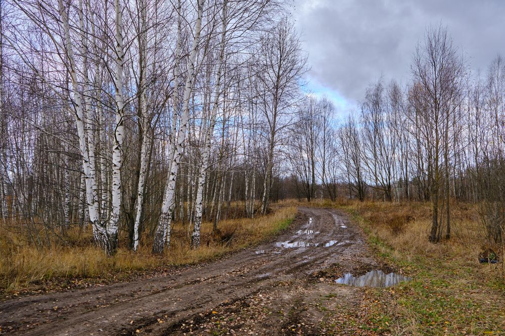 Photograph by Василий Арлашов